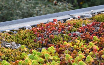 the cost of Littlemill green roof installation