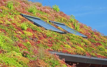 Littlemill living roof systems