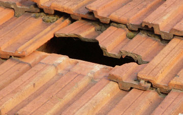 roof repair Littlemill
